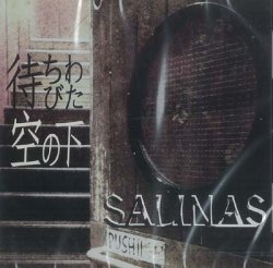 画像1: SALINAS / 「待ちわびた空の下」