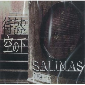 画像: SALINAS / 「待ちわびた空の下」