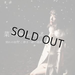 画像: 菜々姫 / 「別れの初雪/儚き一凛の薔薇」